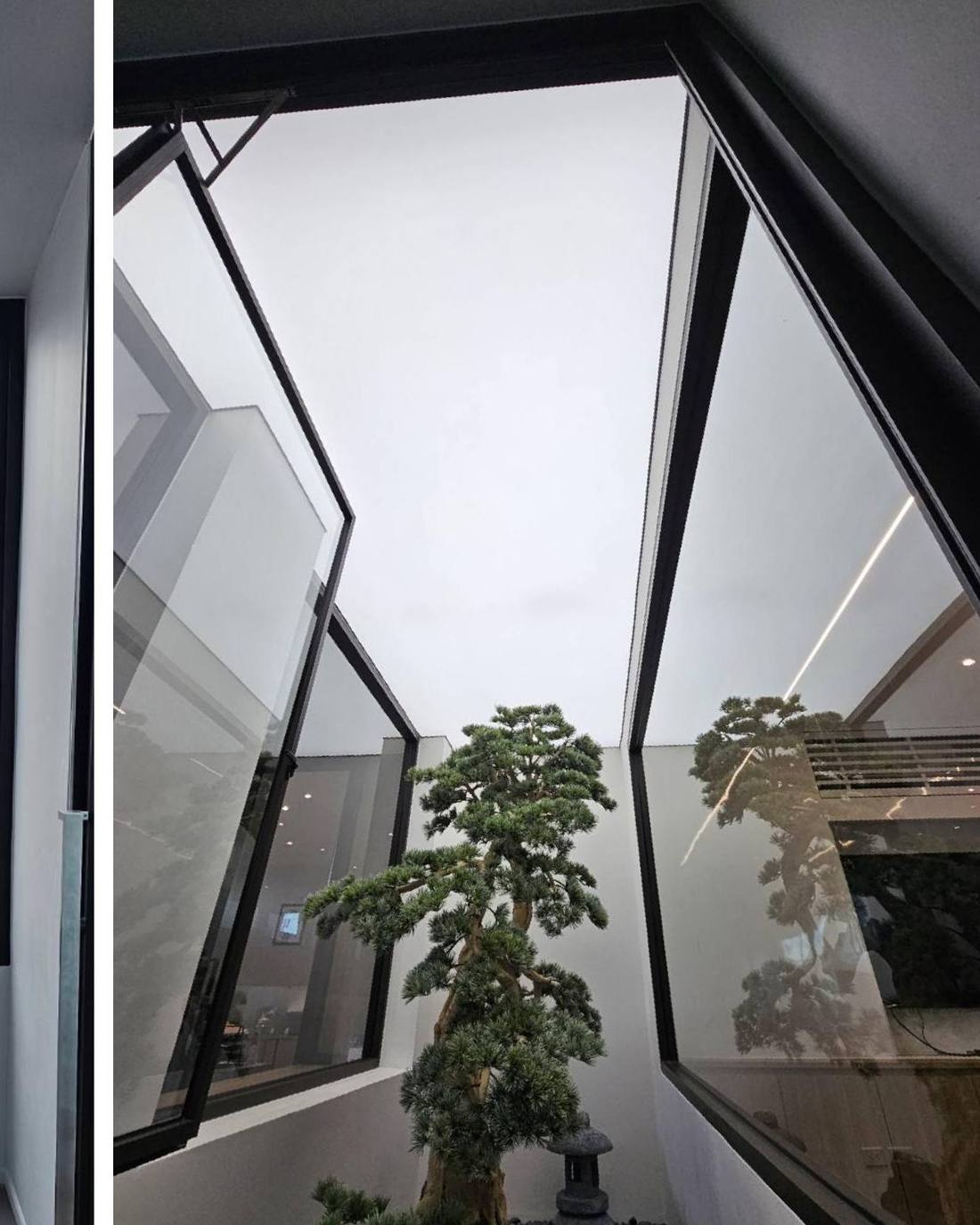 Office geometric stretch ceiling with bonsai